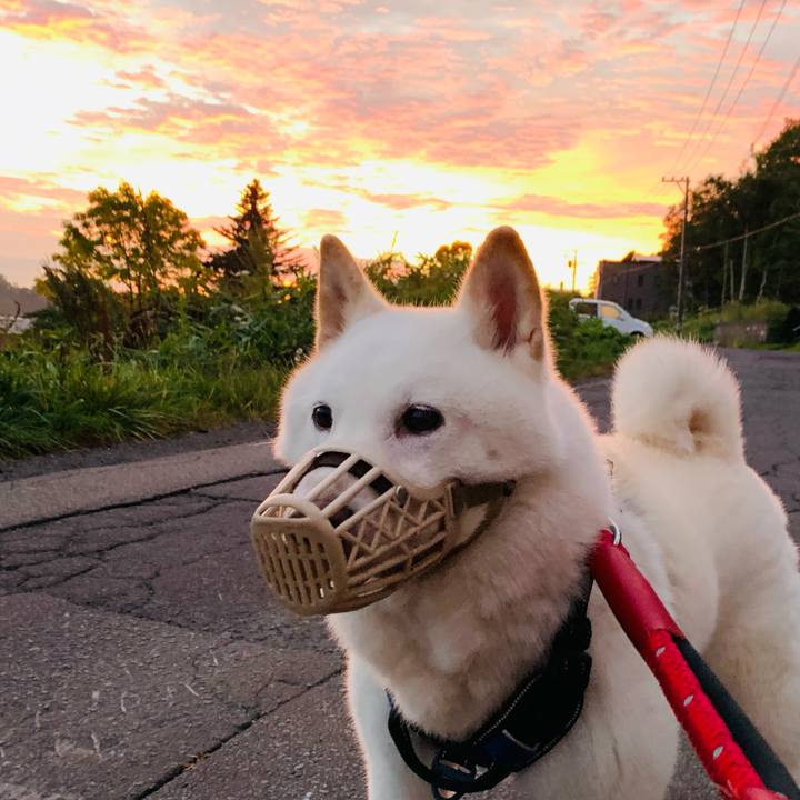 7385de17 6e58 464d b3b8 e2815bf4c6cc 1663447493216