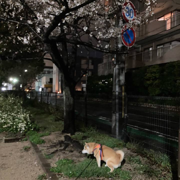 7386017b f7dc 4b3e ab80 ab5a82b1dd53 1616330585247