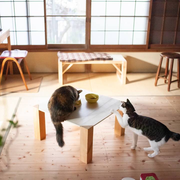 738618f3 eb24 4c3d 9da3 fcc94048dfce 1578454987262