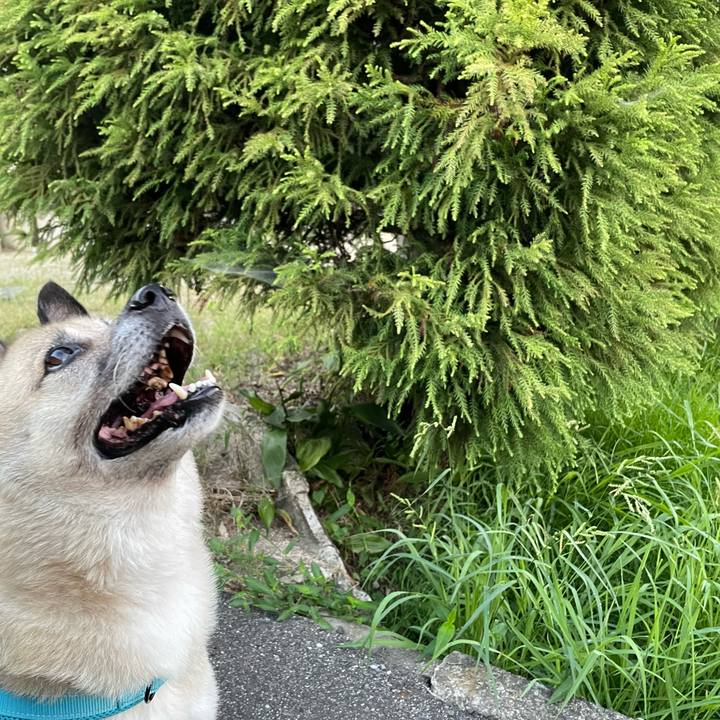 738631b0 a731 40df 9fa2 a39ff7ee5905 1723809285405