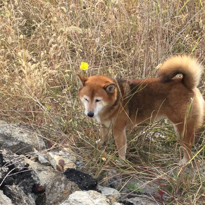 738632d3 293e 4660 83ae 9f04bab39e4f 1604283360095