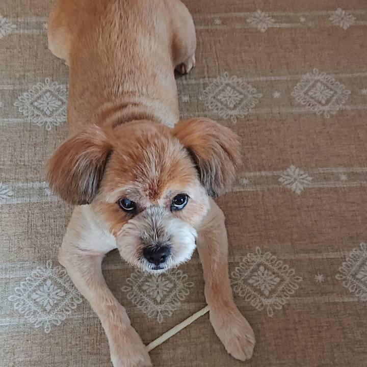 73863883 c153 4e7d 86c7 8e0dbf1a696c 1595847291146