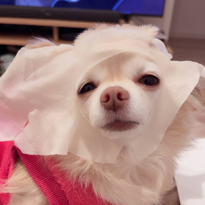 73863ea2 c19d 40e3 b684 eb2087d41dd2 1735043572022