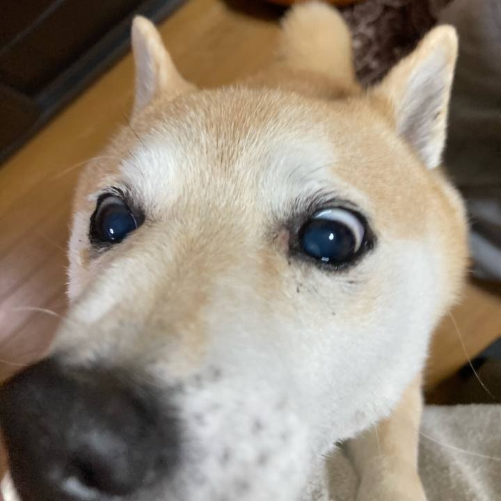 73867cac 7034 4c52 8413 4f6269ce68d4 1616070709571