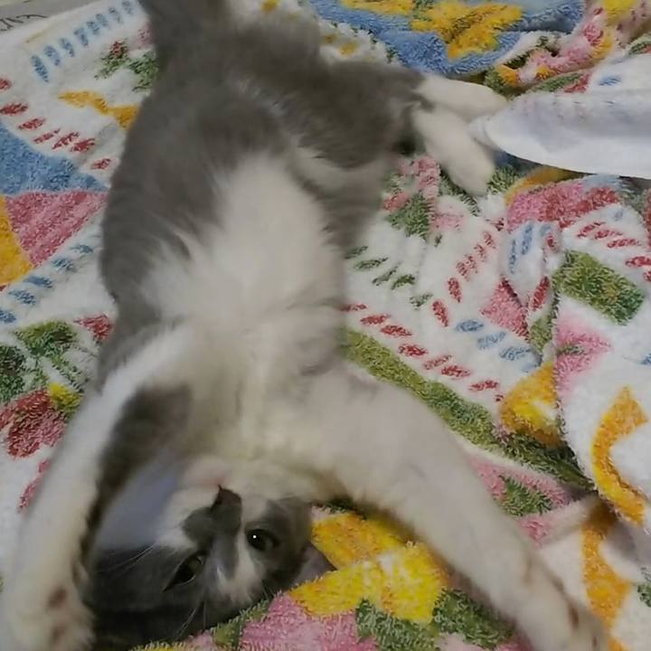 738691ca 1afa 48d4 bbfd 6c4122a28b7f 1567377424466