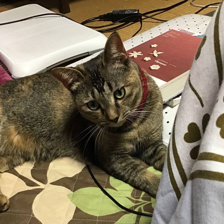 7386b0cb 2653 4813 bf2a 440e24ca8c6a 1603412679655