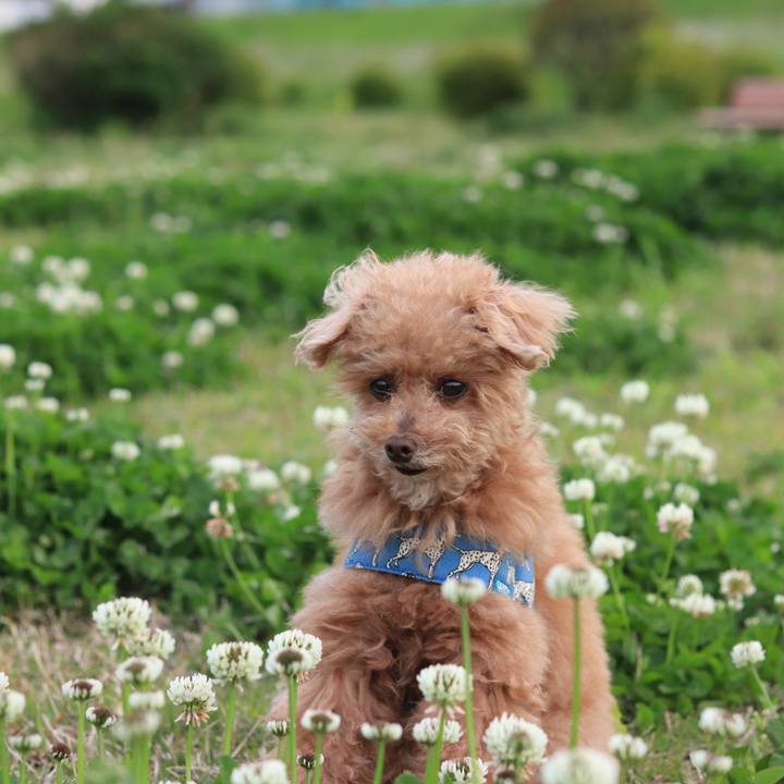 7386e254 e868 492e 8c0c f04790093df1 1618491669385