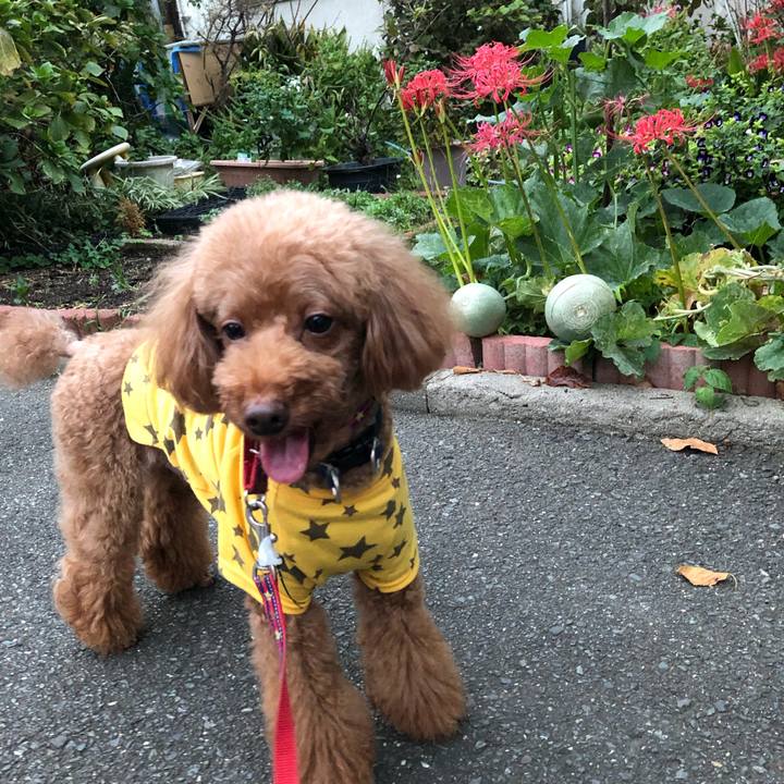 7386eac9 f87e 48d4 a06e eb485e369a83 1569839129464