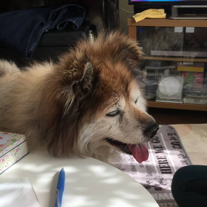 73872489 ec1c 4dab 80a7 42ea548e1d67 1591562712899