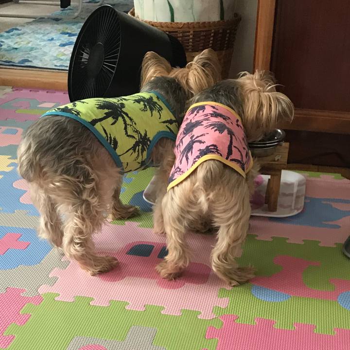 73873b2a 31d7 424f 9f3e 9daacbd7b453 1613813172739