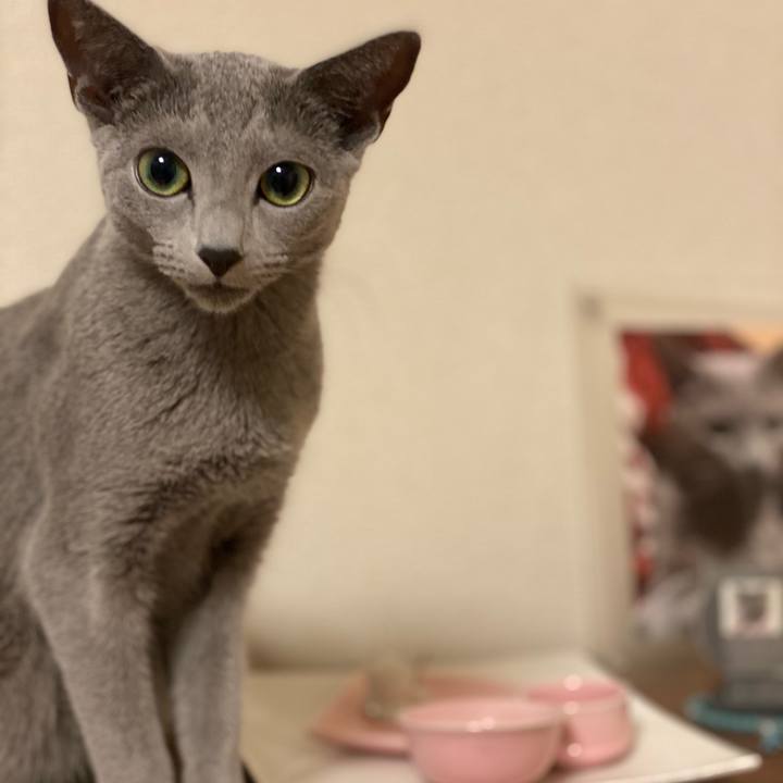 7387507d ad9c 4e87 acce db358bfcac05 1605701268065