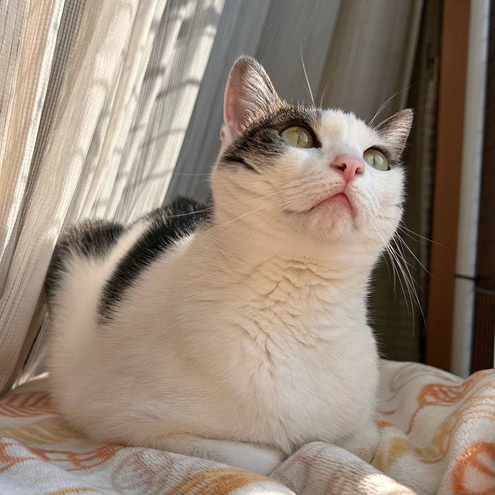 73875332 405f 4424 ab4e e455703a36d9 1763343829687