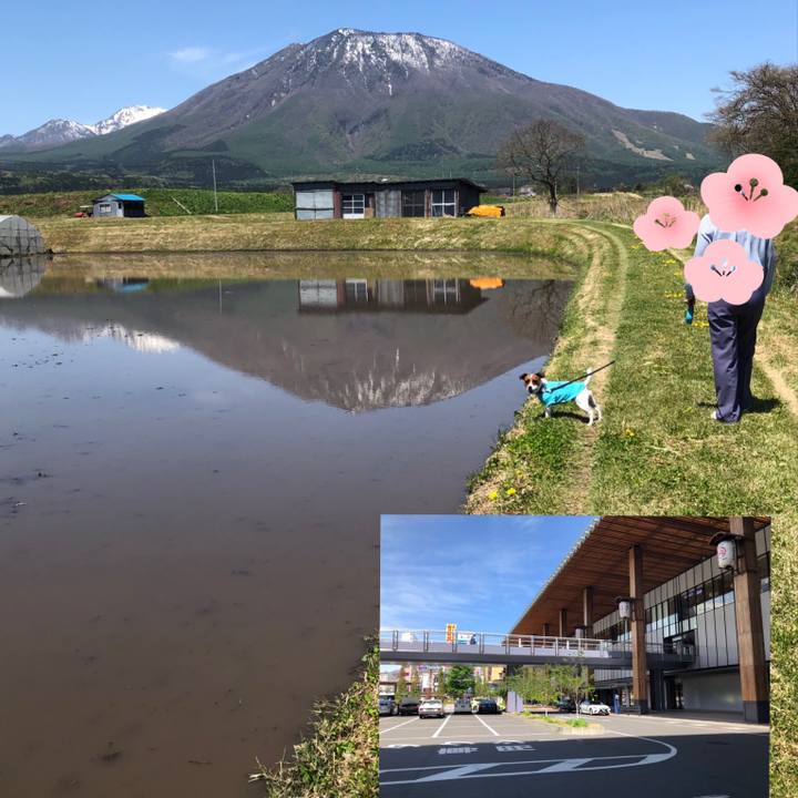 73875cd6 f809 460b a962 39329722eb98 1589437246442