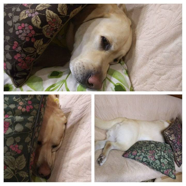 73879dc3 0876 488a a5f5 69755a6d47bb 1580727245481