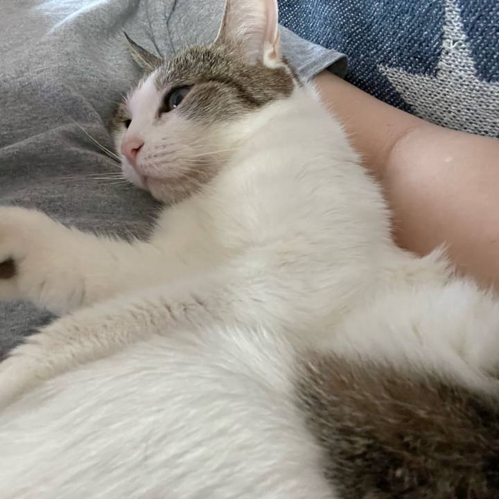 73879e0b 2ab1 4651 a0d9 54033d83ffa2 1661464607976