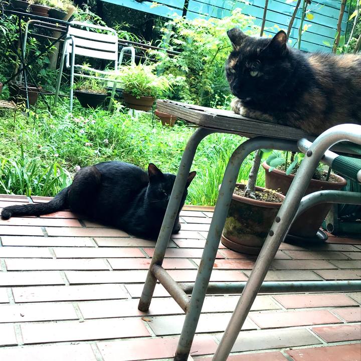 7387c9e0 6f51 439d 9797 2d9aaea3c29e 1593578639587