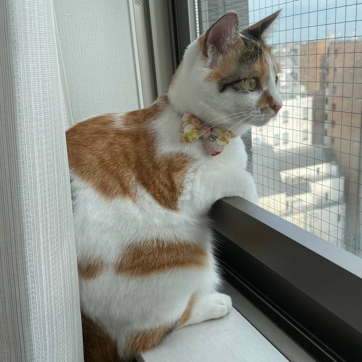 73880b57 e242 421d 8745 56808898b3c2 1629949004254