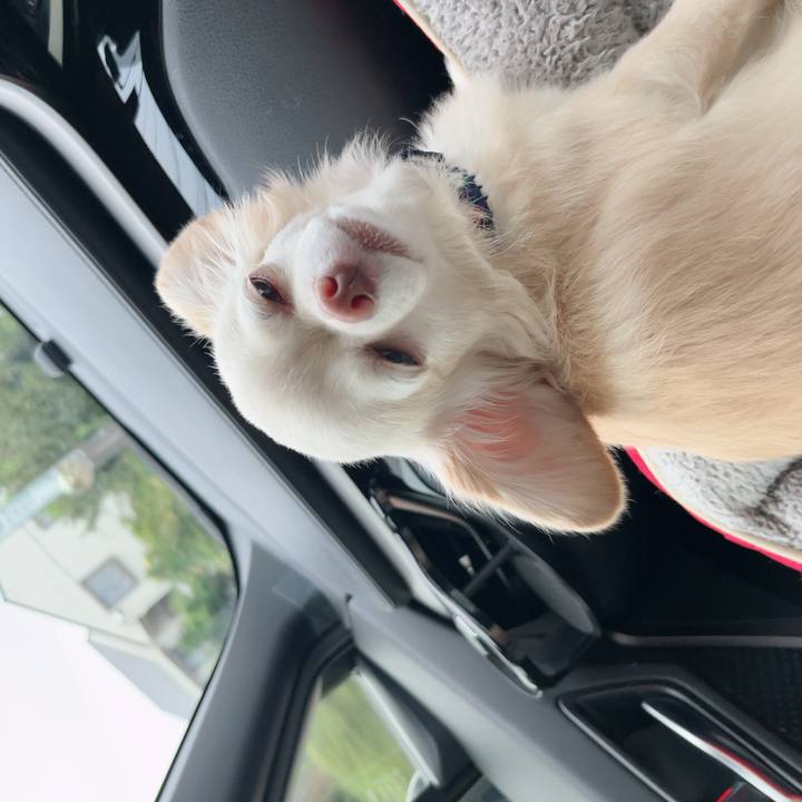 73888025 258b 4aa7 965d a3bf6728b5c3 1728202247177