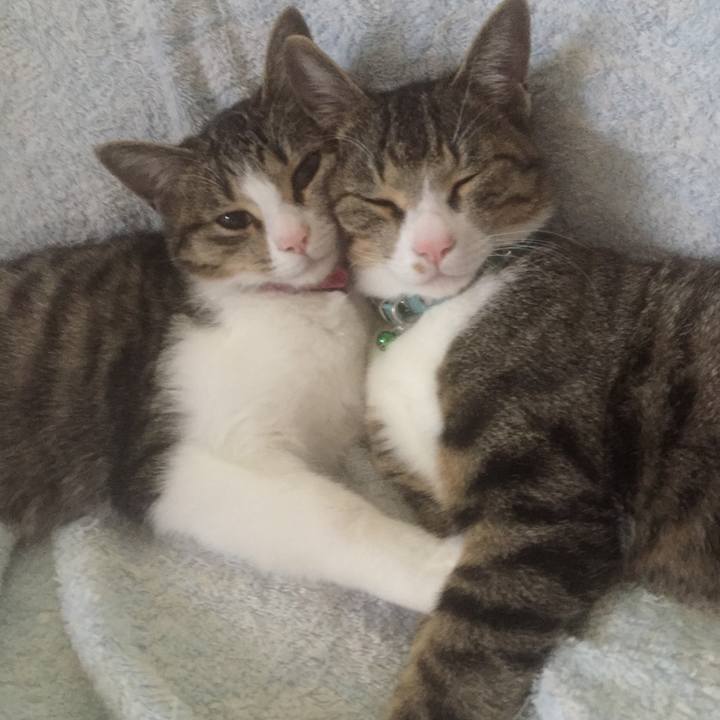 73889585 141d 49af af47 b2f34aef7623 1659960867202