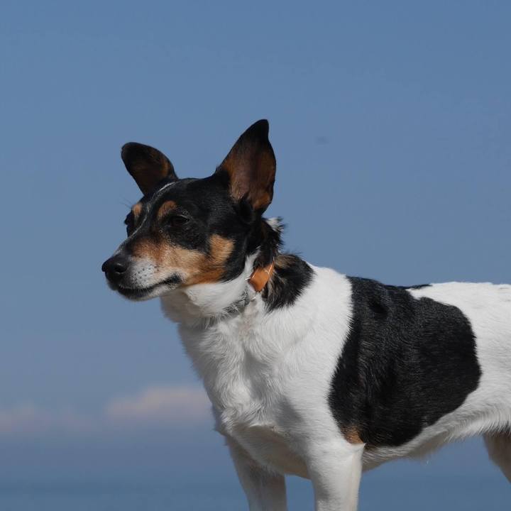 738924ac ac39 4ca7 9c56 d23b8e5da373 1648355345300