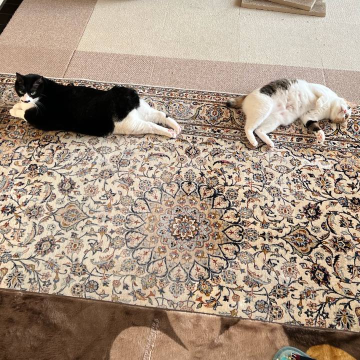 73892a82 d47b 4800 8df1 1f83f6bf84ee 1767049232022