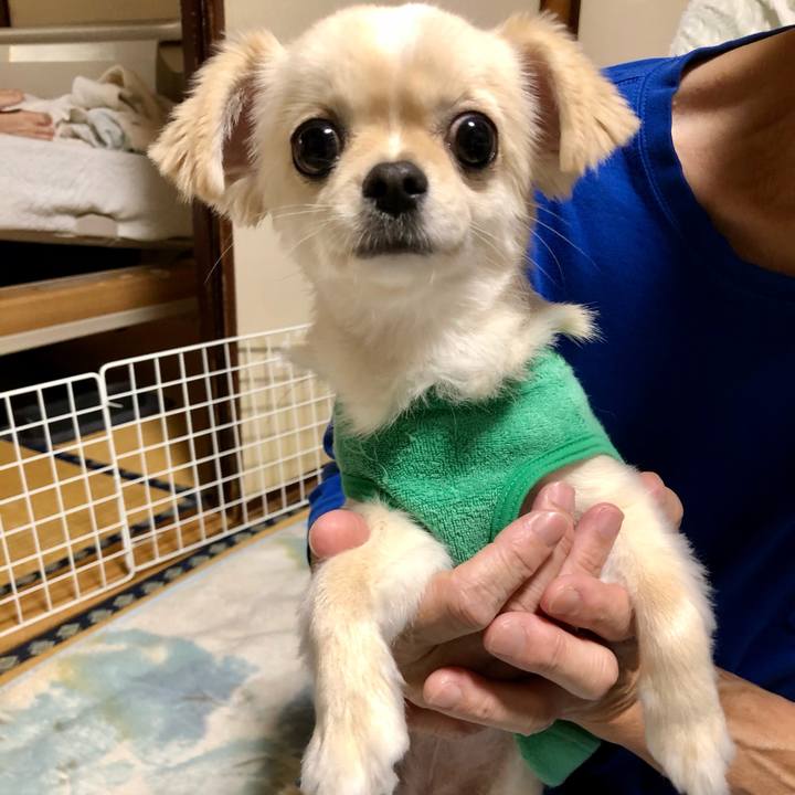 73894a61 03f0 4ab1 948e 5c5ab090008b 1600754116897