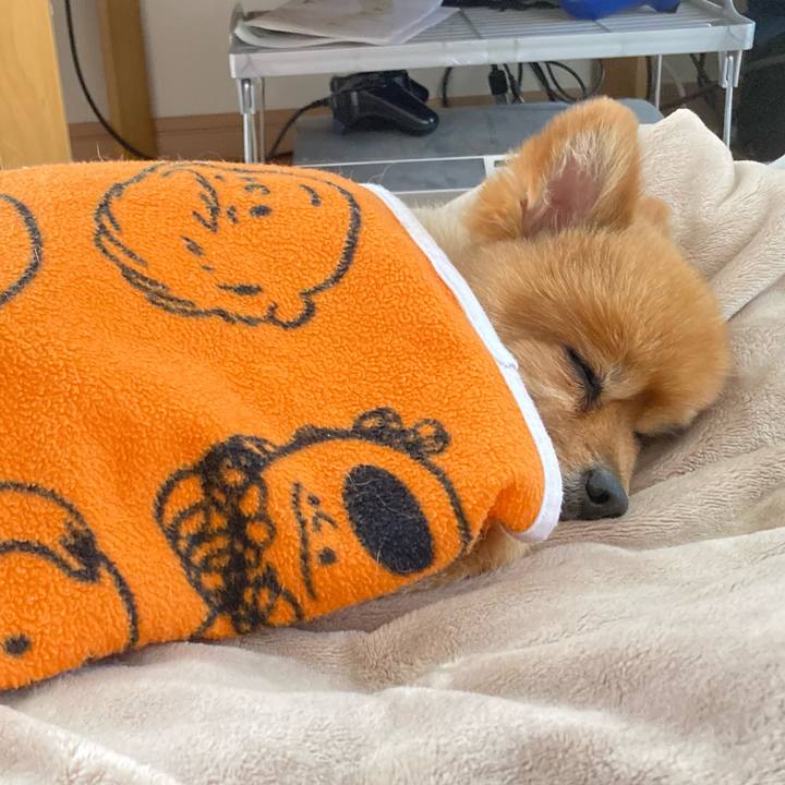 738974cf 9bb7 4e71 b899 1dde97c72a84 1638616132057