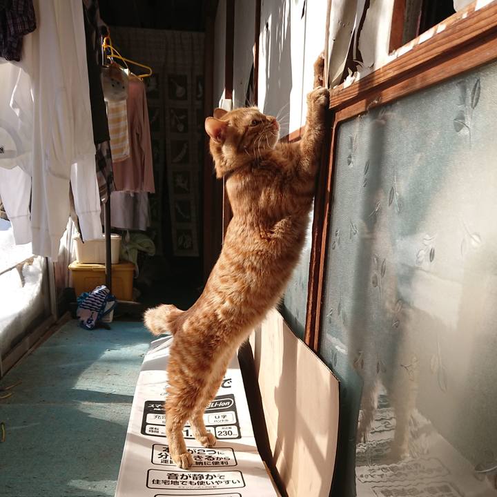 738976a5 6559 425c 935e d060228df291 1641099709076