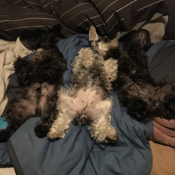 7389c595 79a1 436c bdae c34dc266c8ad 1524837509143