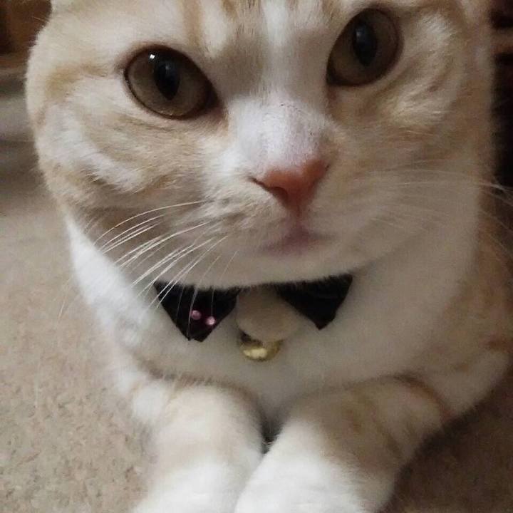 7389c988 32ee 4b03 8c96 6b454a3972f4 1511789123678