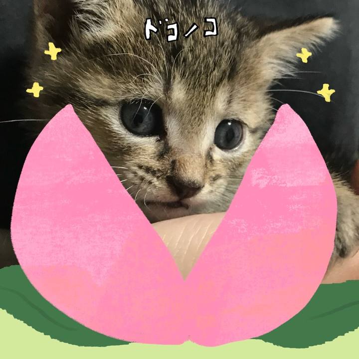 7389d6fe ef0b 4b6a bed8 1d2bf0c00bc6 1771893002238