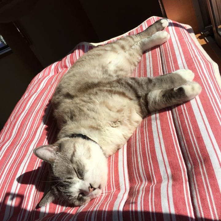 7389e1e4 e6cc 4f21 9f5d 1c21693c3a89 1542247732445