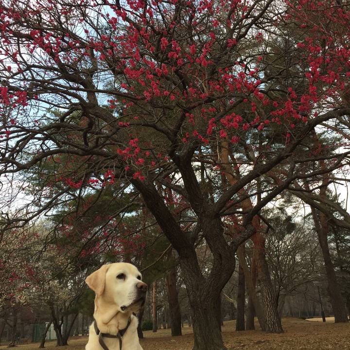 7389e984 7af7 4098 b357 d7906ac3e83c 1551333008509