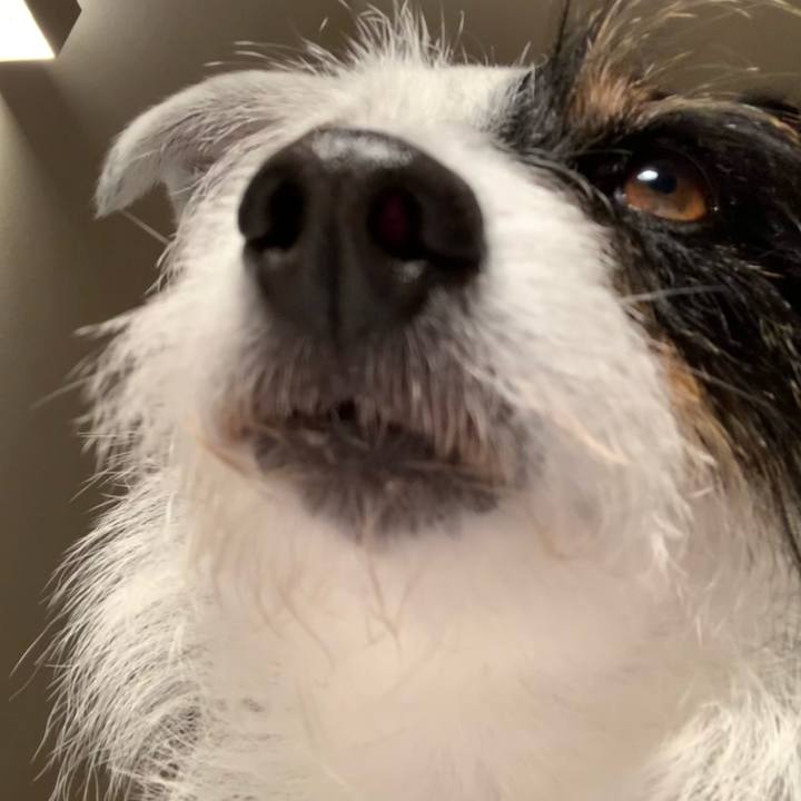 7389fae5 5fe2 4acf a9c7 c386229c9531 1621248915171