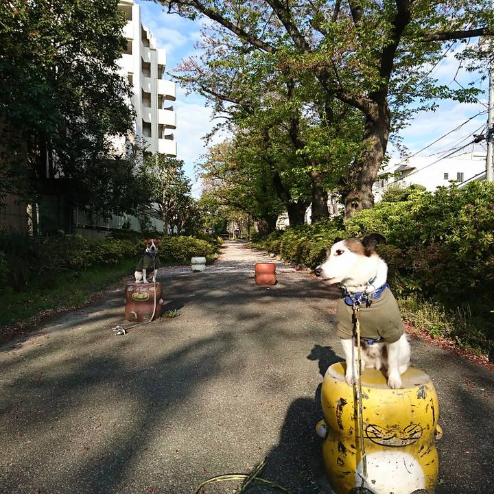 738a0a47 cd09 4c4c b82d 157a440e8b78 1586558534904