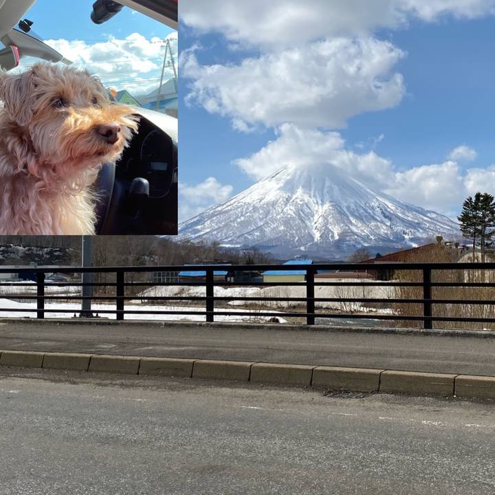 738a1096 93b2 409b 8773 b382d244100f 1618032830431