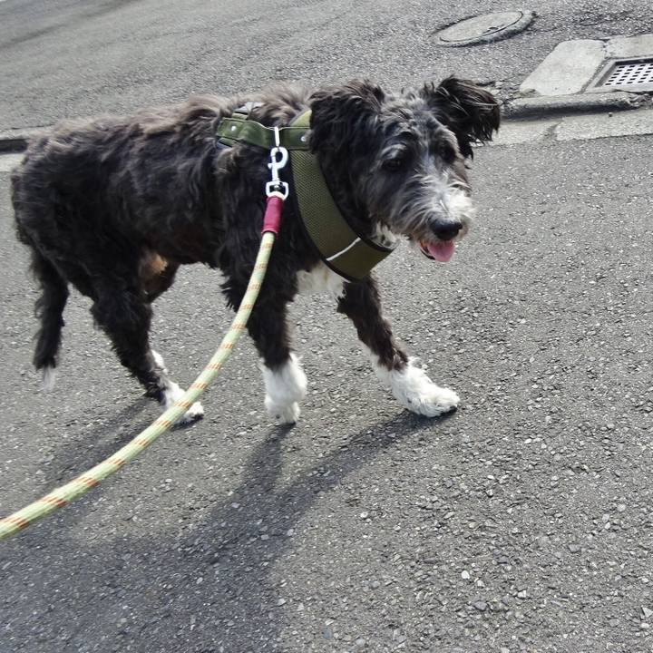 738a1cc6 54ff 42f4 bc42 58a69379eed9 1518832378505