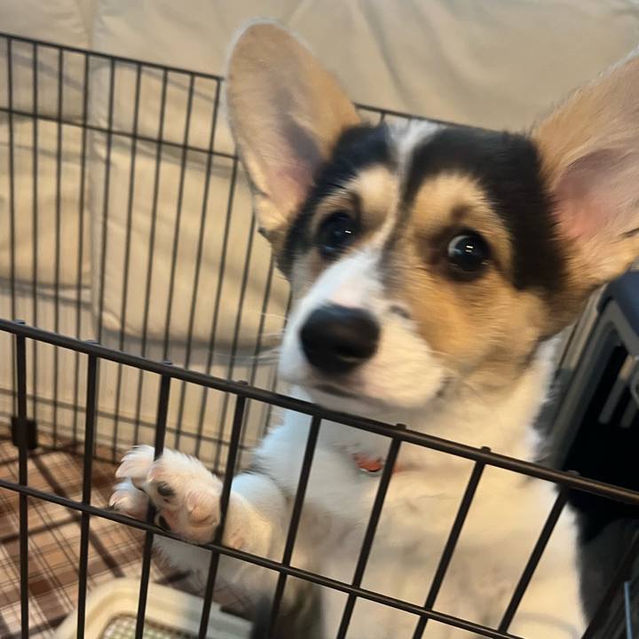 738a338e 63a2 4e3c 89c8 16c968d0afb9 1771196679119