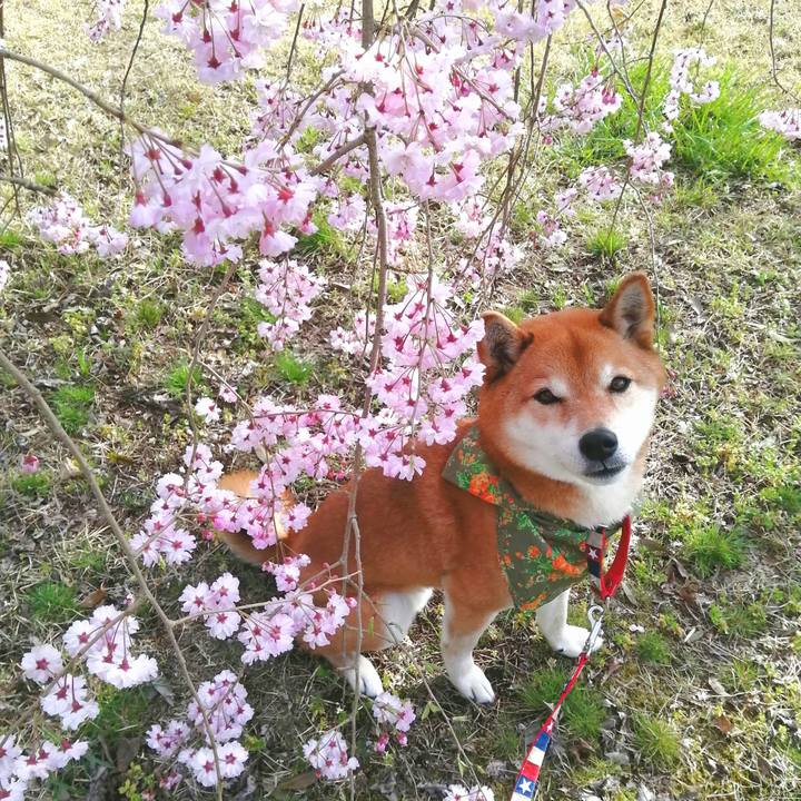 738a4b7d 3478 45aa afbf ee03c1972641 1648898167235