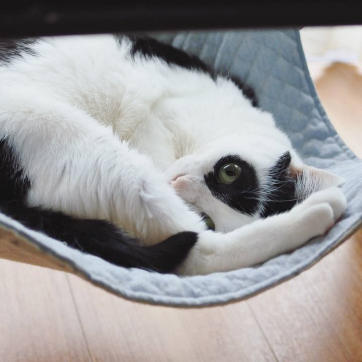 738a4b95 a59a 417f bdba a77fe9770738 1556691823355