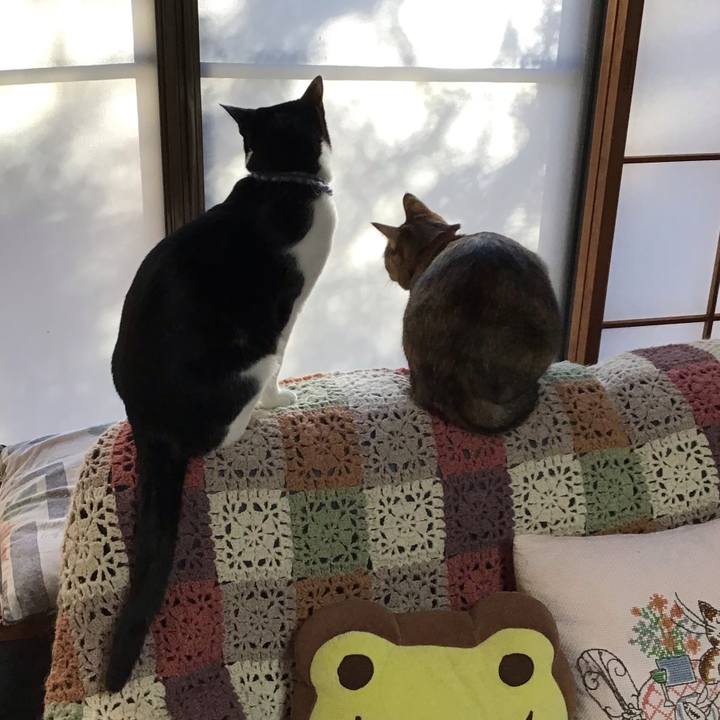 738a6da9 460a 41c2 b3e2 e3bef9e61f30 1642806477154