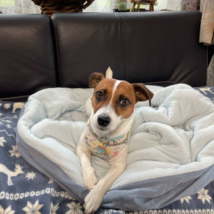 738ab7a8 d703 4914 bf4c 5f6cd83111ab 1629179962932