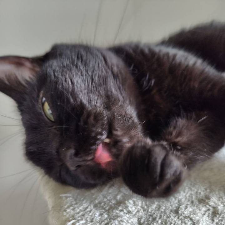 738ad732 0e04 4014 9170 d853c9878d8a 1724279716620