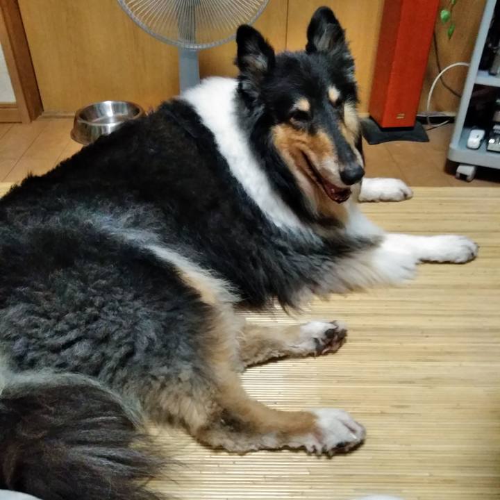 738ad826 7fe9 4841 a808 0ece25945a2a 1532381194081