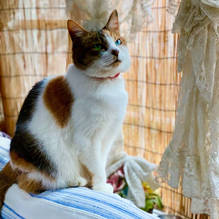 738aed7e 1333 4ab7 a005 559e8fda6c9e 1615520181303