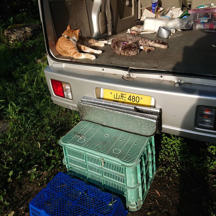 738b2e57 4177 472e 99ef 5b7fd0f43908 1595539843792