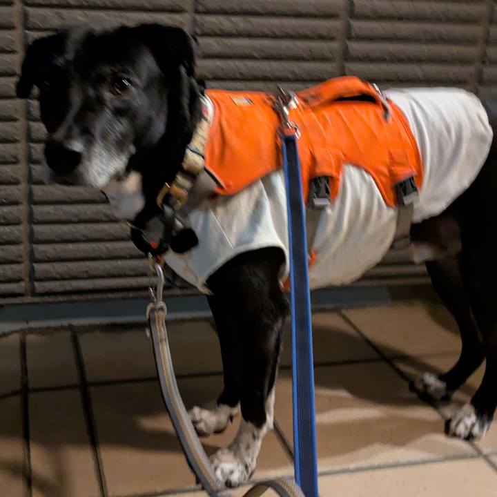 738b3d2a affe 4141 8c1a 0ebaf50653d9 1737368795409