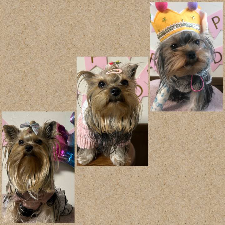 738b5e5b 972e 494f 9862 4996f3a8e82b 1700663660692