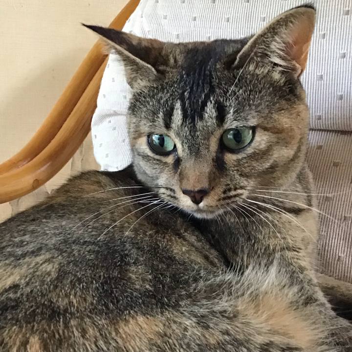 738b642c 47b1 4385 bd94 74e26d985ad6 1628070428147