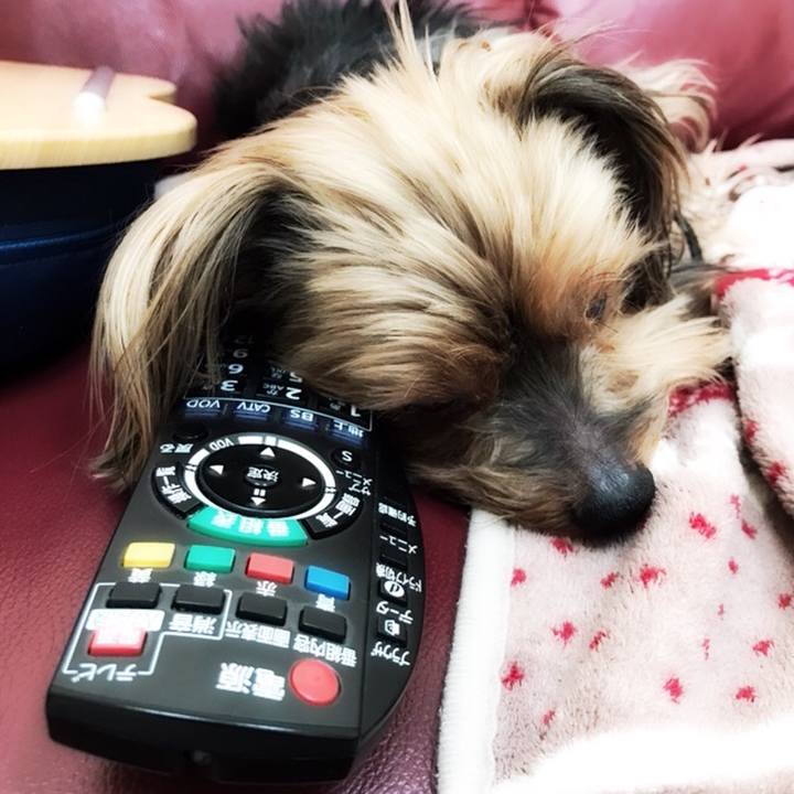 738b66d4 168c 4af8 b5f9 369a929c5943 1520898725489